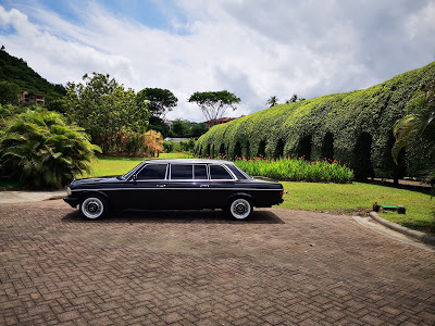 GREEN-GARDEN-AND-MERCEDES-LIMOUSINE.-LOS-SUENOS-COSTA-RICA.jpg