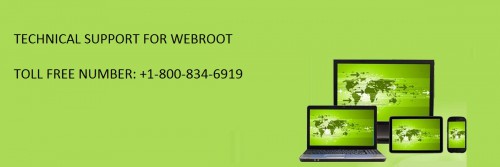 webroot.jpg