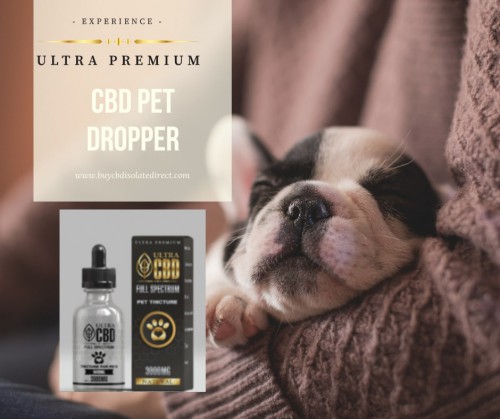 CBD-Pet-Droppers.jpg