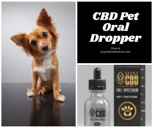 CBD-Pet-Oral-Dropper.jpg