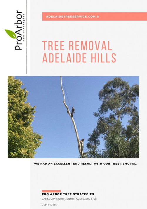 Tree-Removal-Adelaide-Hills.jpg