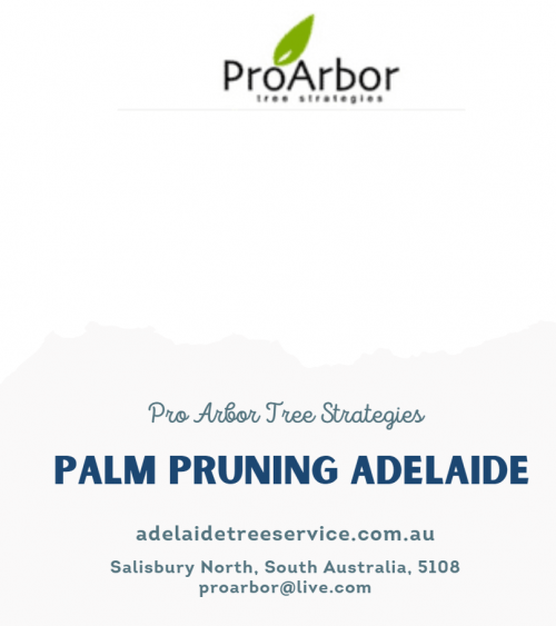 pallm-Pruning-Adelaide.png