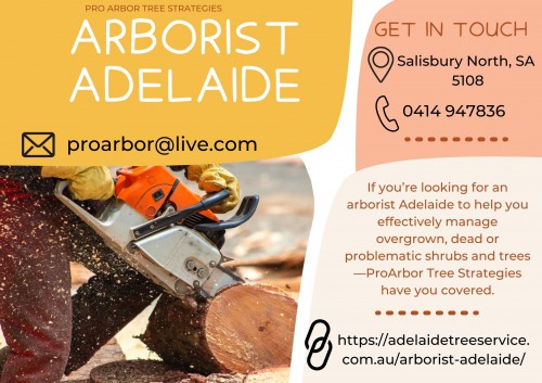 Arborist-Adelaide.jpg