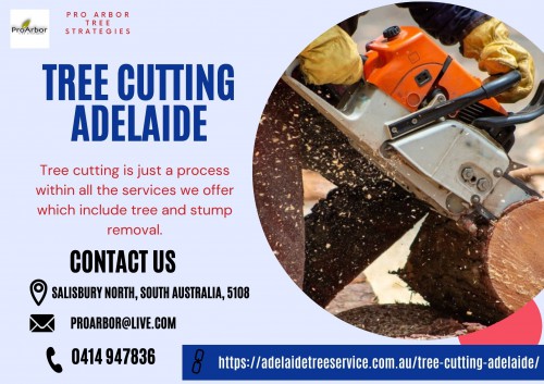 Tree-Cutting-Adelaide.jpg