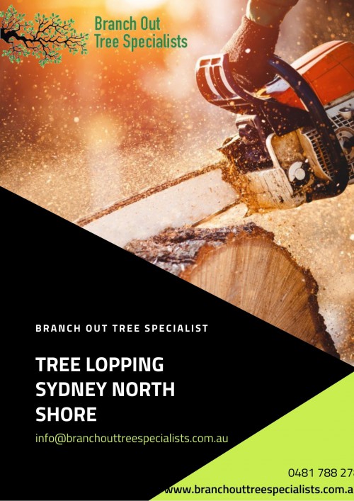 Tree-Lopping-Sydney-North-Shore.jpg