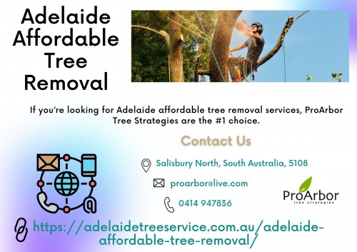 Adelaide-Affordable-Tree-Removal.jpg