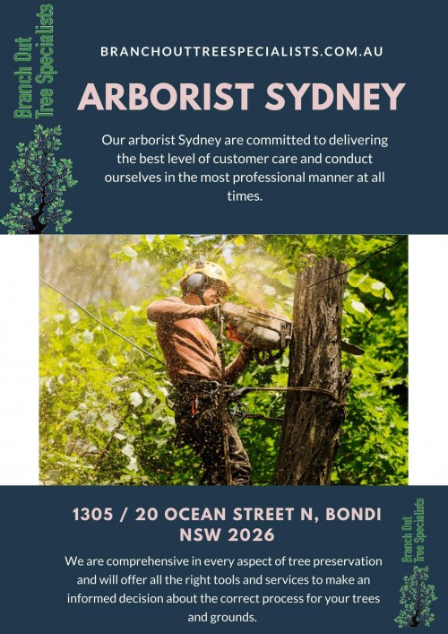 Arborist-Sydney1.jpg