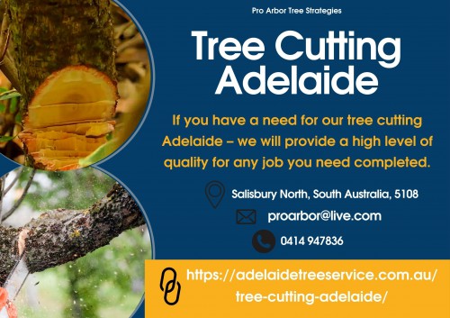 Tree-Cutting-Adelaide.jpg