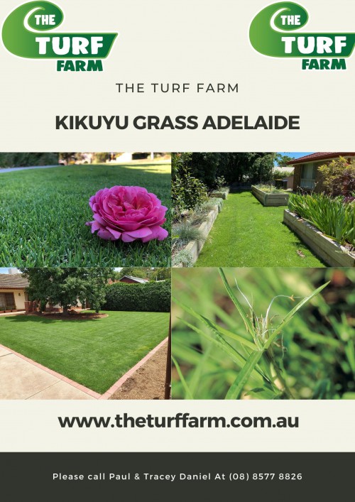 Kikuyu-Grass-Adelaide.jpg