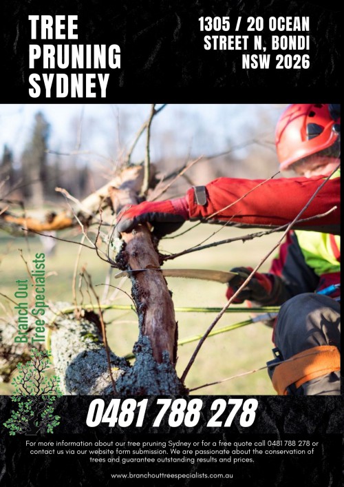 Tree-Pruning-Sydney.jpg