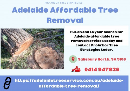 Adelaide-Affordable-Tree-Removal.jpg