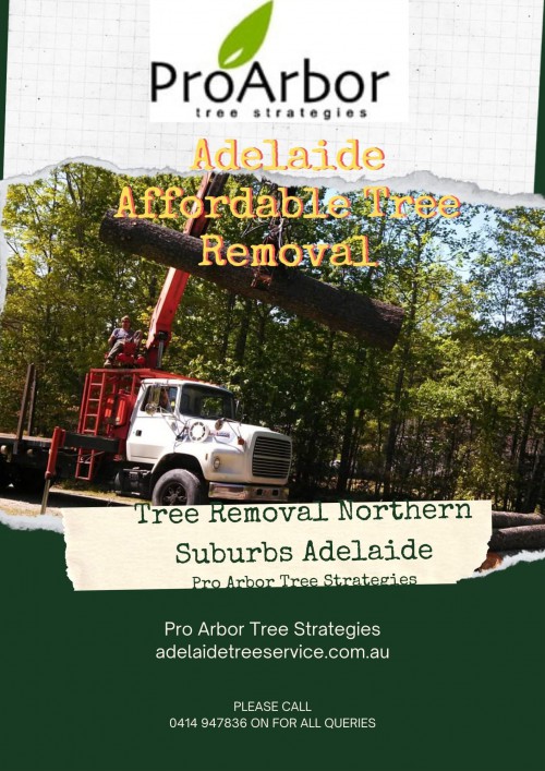 Adelaide-Affordable-Tree-Removal1.jpg