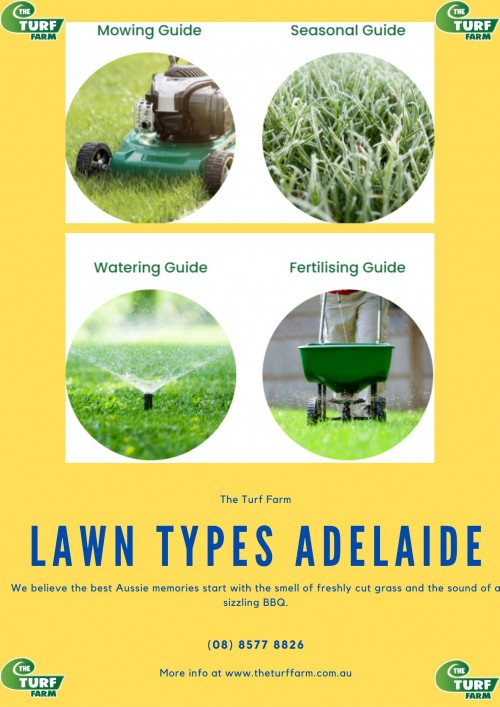 Lawn-Types-Adelaide.jpg