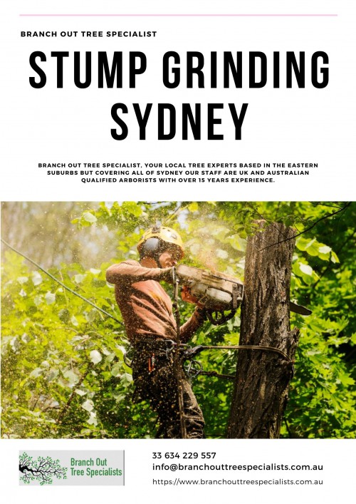 Stump-Grinding-Sydney.jpg