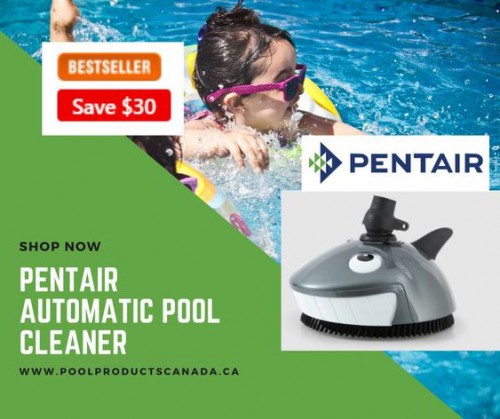 Pentair-Automatic-Pool-Cleaner.jpg