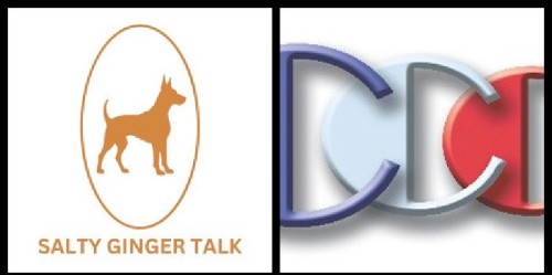 Salty-Ginger-Talk-Interview-sales-guest-Richard-Blank-Costa-Ricas-Call-Center..jpg